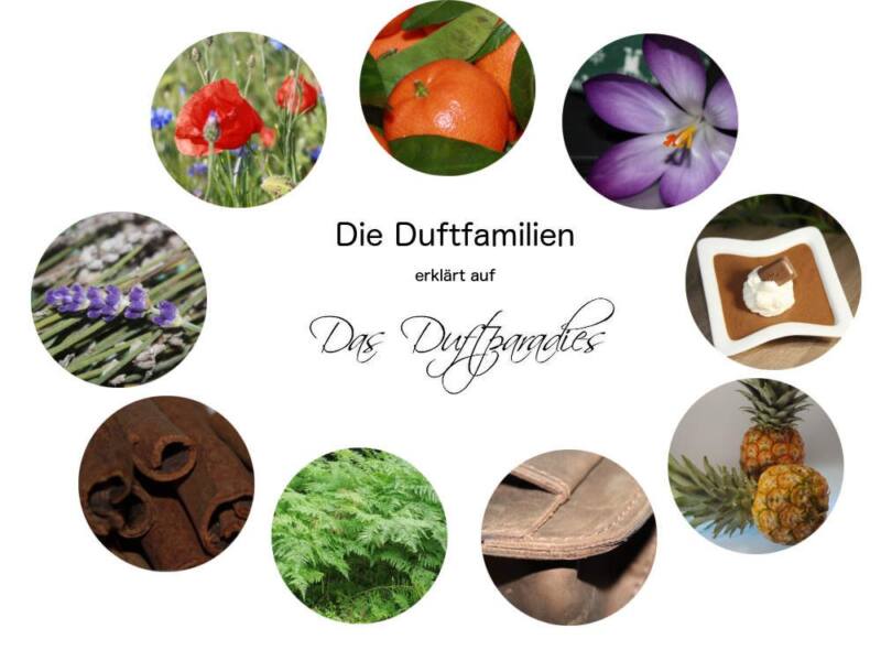Duftfamilien erklärt auf Das-Duftparadies.de
