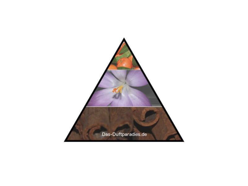 Aufbau Duftpyramide bei Parfüm
