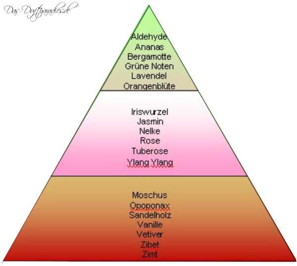 Gloria Vanderbilt Duftpyramide zeigt Duftverlauf des Parfums