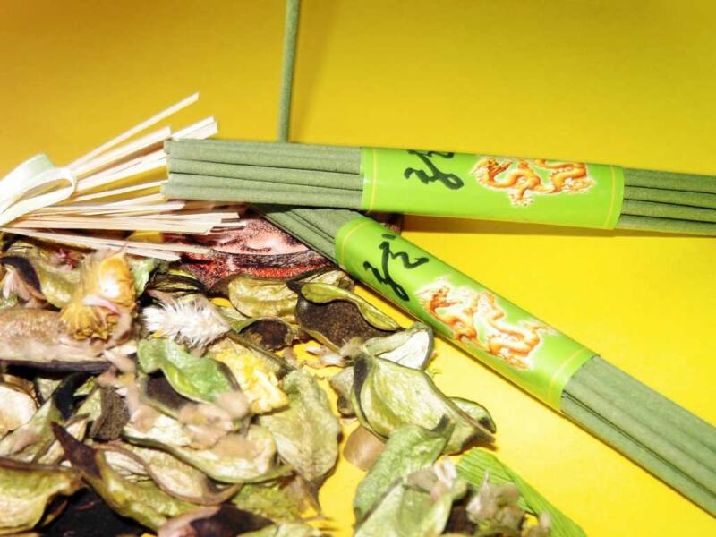 Beduftete Welt - so wichtige sind Gerüche