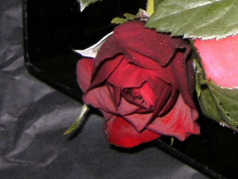 Paco Rabanne Black XS for Her & for Him