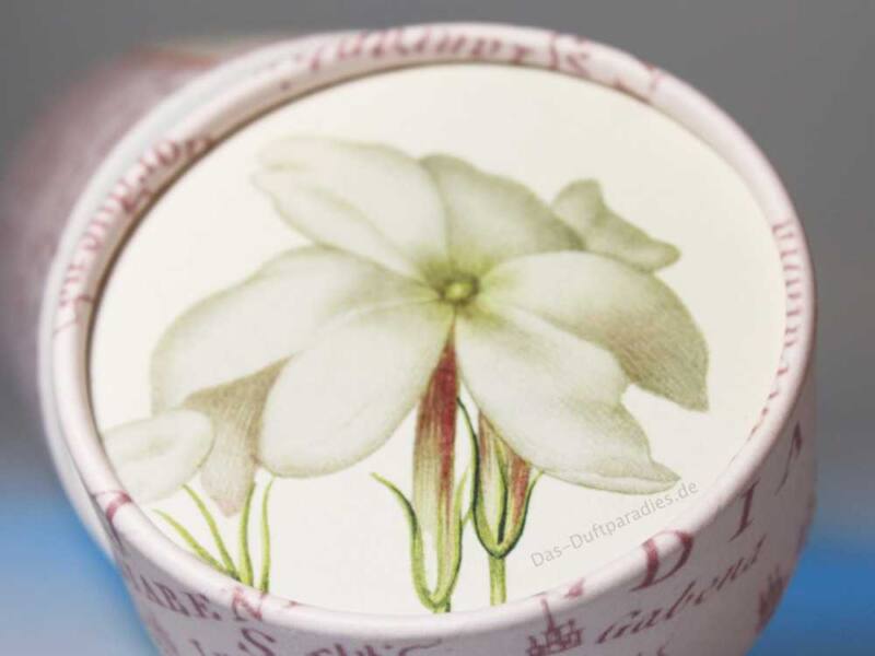 Duftnote Jasmin: Jasminduft wirkt wie Valium