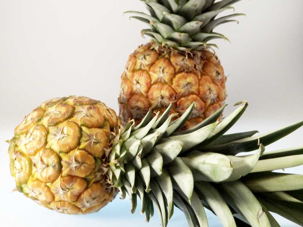 Reife Ananas verleiht dem Parfüm eine wunderbare Duftnote