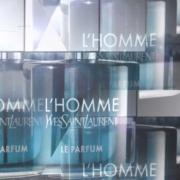 Yves Saint Laurent L’Homme le Parfum Herrenparfüm Duftbeschreibung