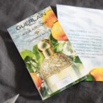 Duftbeschreibung von Guerlain Aqua Allegoria Mandarine Basilic EdT