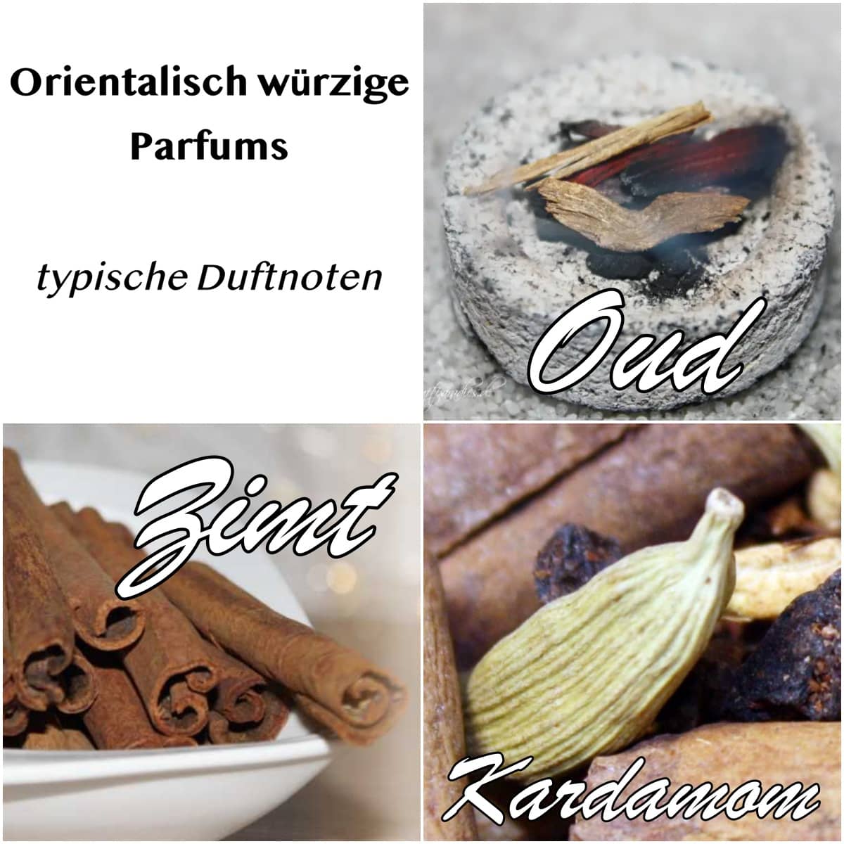 Die wichtigsten Duftnoten in orientalisch würzigen Parfums